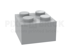 ✐ Brick 2x2 Light Gray Bedrukken 3003