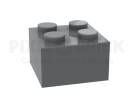 ✐ Brick 2x2 Dark Gray Bedrukken 3003